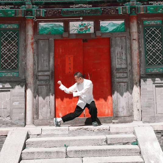 戳脚翻子拳