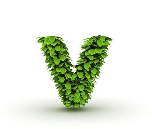 v（拉丁字母）