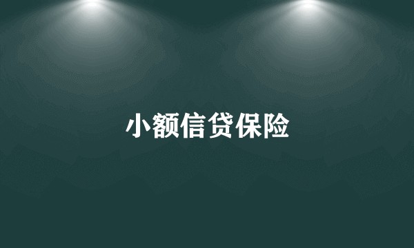小额信贷保险