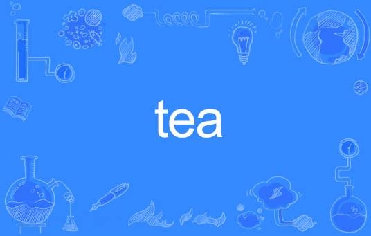 TEA（英文单词）