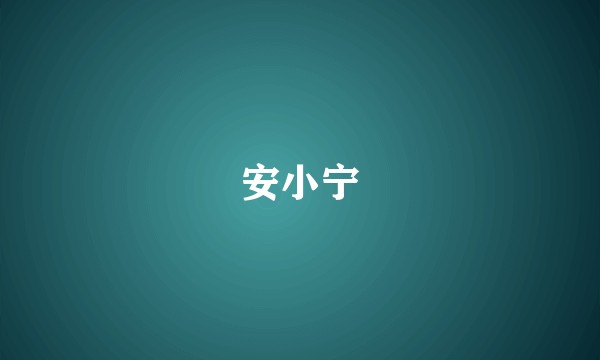 安小宁