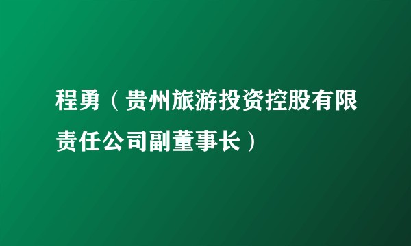 程勇(贵州旅游投资控股有限责任公司副董事长)