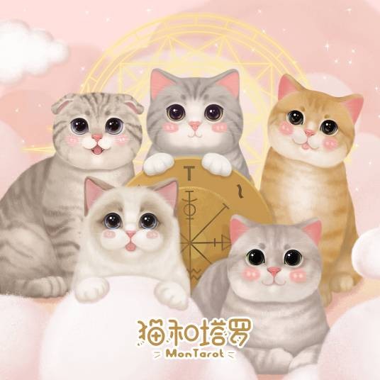 猫和塔罗