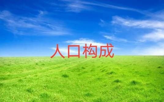 人口构成