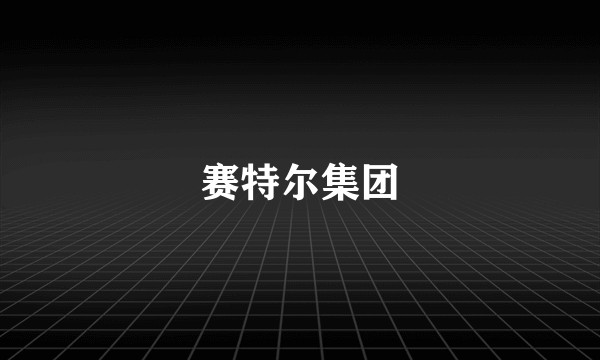 赛特尔集团