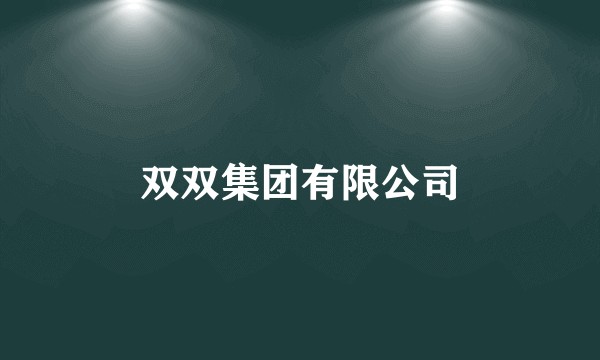 双双集团有限公司