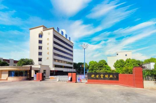 安徽皖南电机股份有限公司
