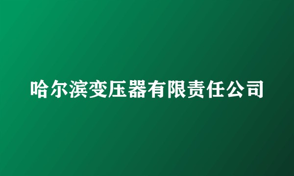 哈尔滨变压器有限责任公司