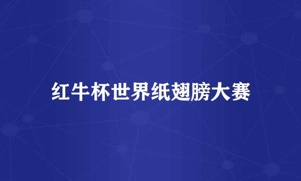 红牛杯世界纸翅膀大赛