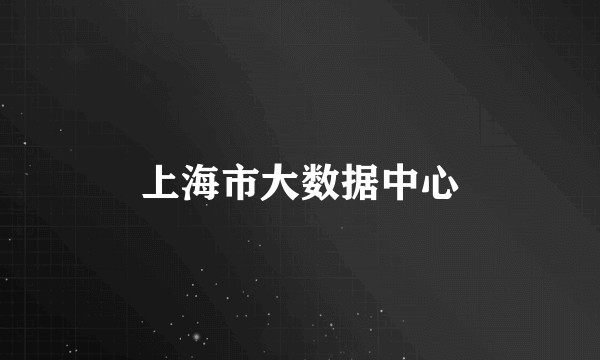 上海市大数据中心