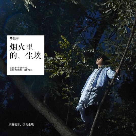 烟火里的尘埃(华晨宇演唱歌曲)