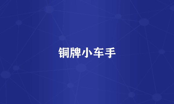 铜牌小车手