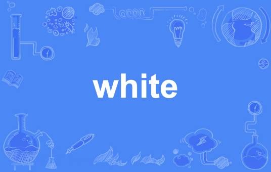 white(英语单词)