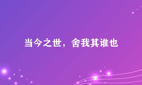 当今之世，舍我其谁也