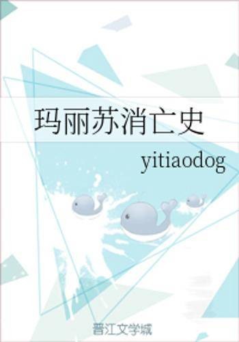玛丽苏消亡史