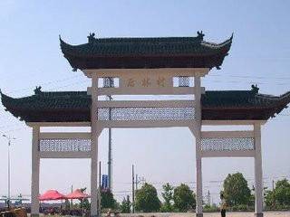 后林村(山东省兰陵县向城镇后林村)