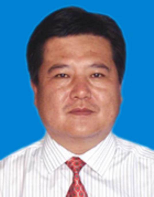王安全(甘肃省礼县委常委、政府副县长)