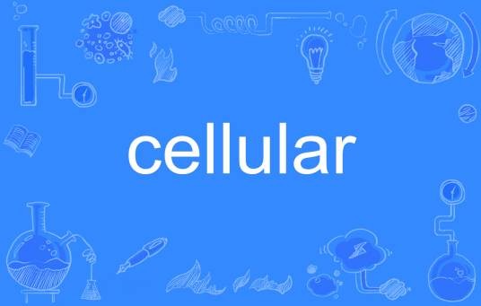 Cellular(英语单词)