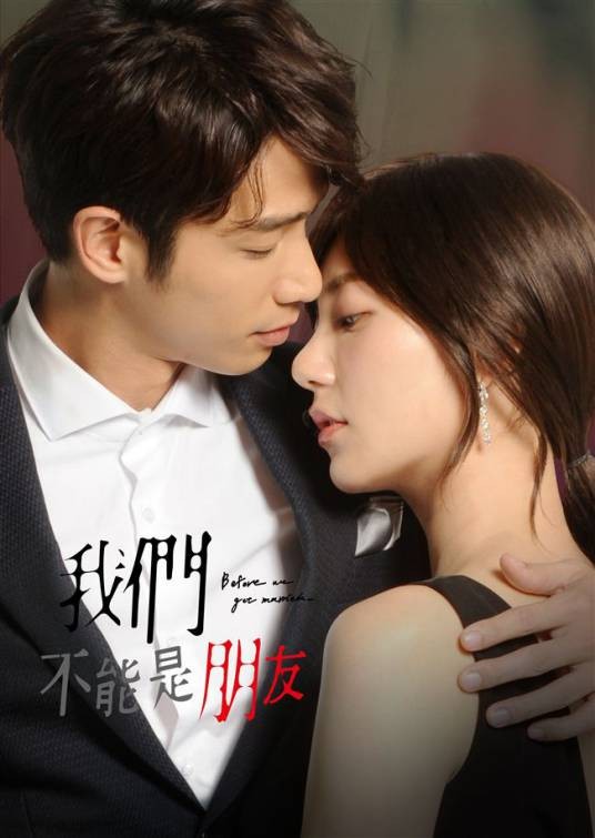 我们不能是朋友（2019年冯凯执导电视剧）