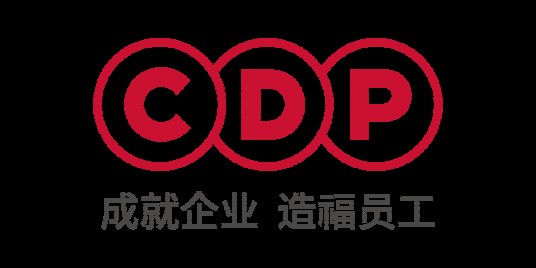CDP(一家提供一站式人力资源服务的公司)