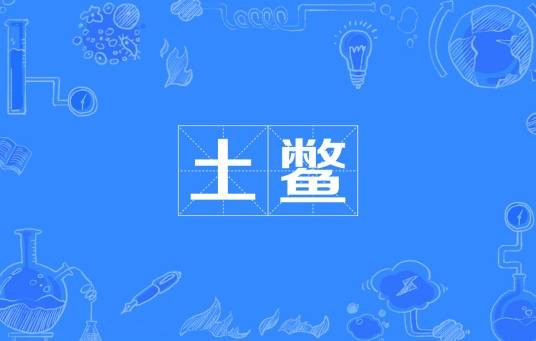 土鳖（方言词汇）