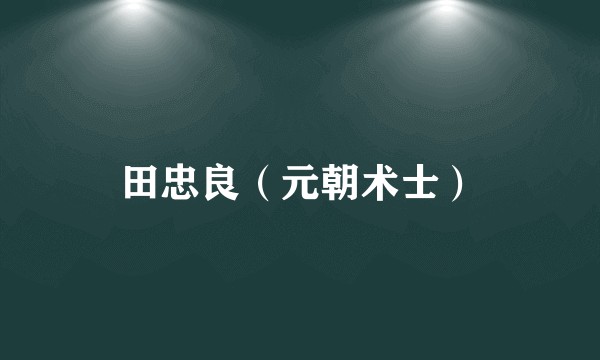 田忠良（元朝术士）