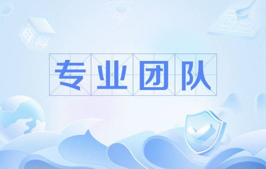 专业团队(网络语)