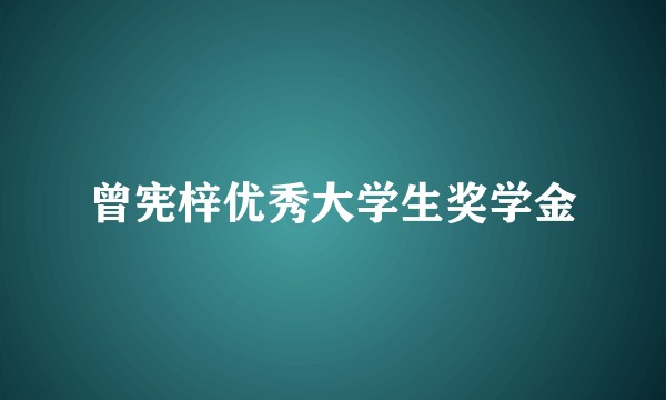 曾宪梓优秀大学生奖学金