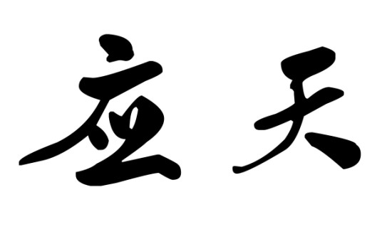 应天(汉语词汇)
