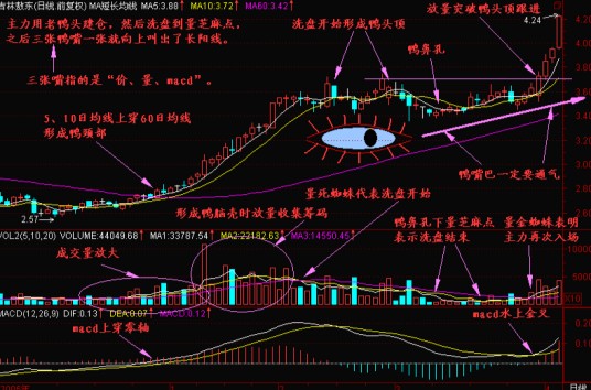 老鸭头战法