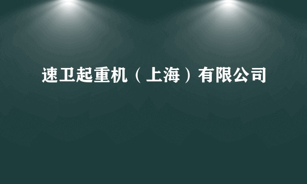 速卫起重机（上海）有限公司