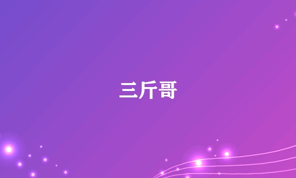 三斤哥