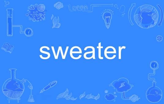 sweater（英文单词）