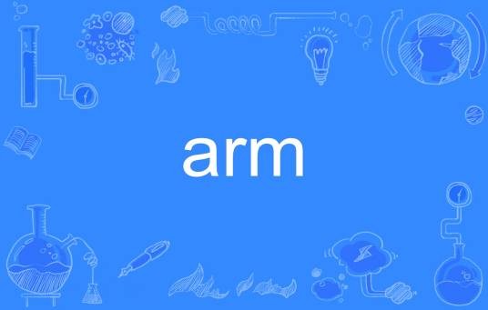 arm（英文单词）