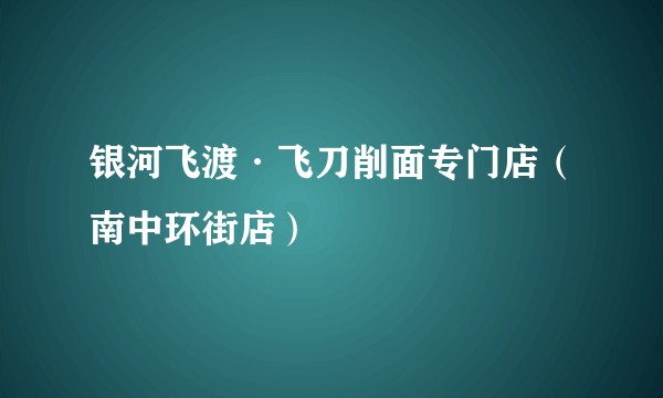 银河飞渡·飞刀削面专门店（南中环街店）