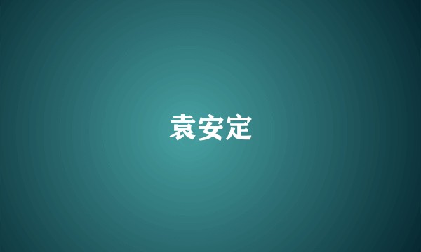 袁安定