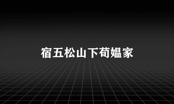 宿五松山下荀媪家
