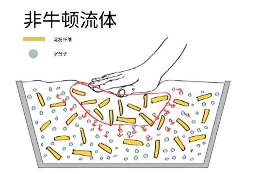 非牛顿流体力学