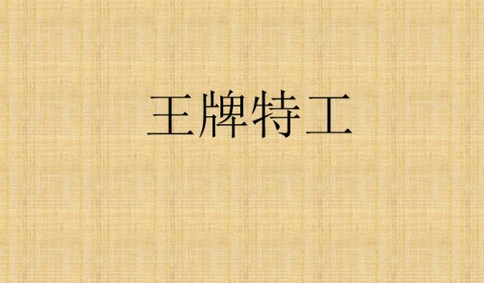 王牌特工（17K小说）