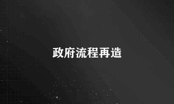 政府流程再造