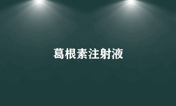 葛根素注射液