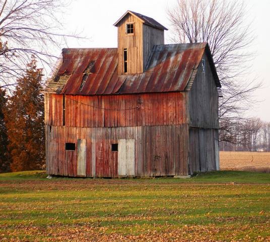 Shed(棚、库、简易房)