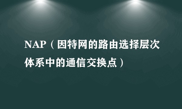 NAP(因特网的路由选择层次体系中的通信交换点)