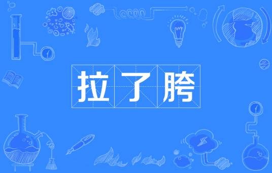 拉了胯