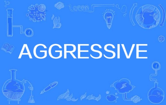 AGGRESSIVE（英语单词）