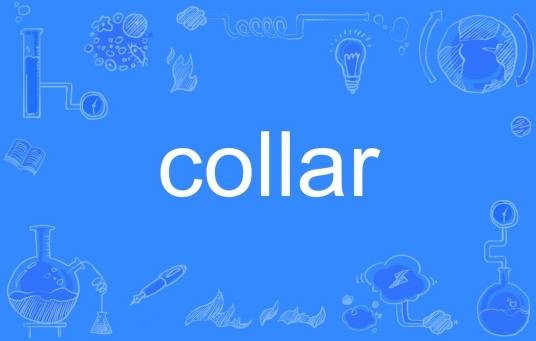 collar（英语单词）