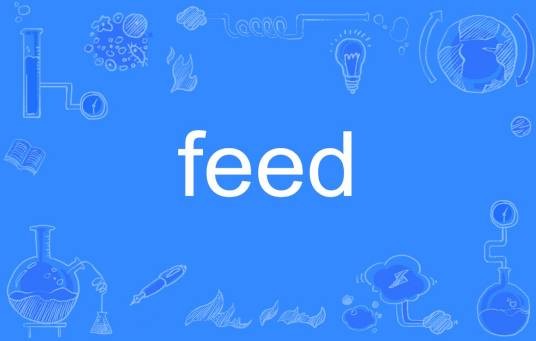 Feed（英语单词）