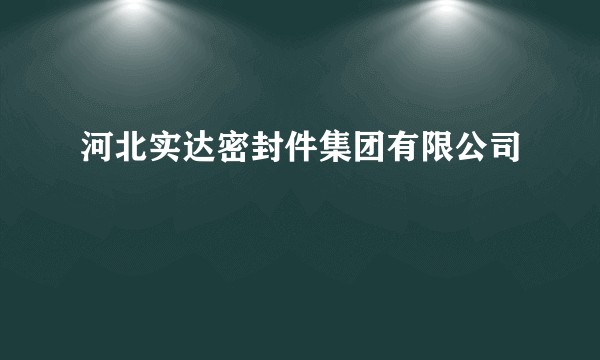 河北实达密封件集团有限公司