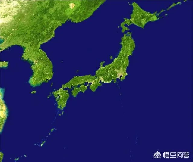 日本除了大和族还有别的民族吗?