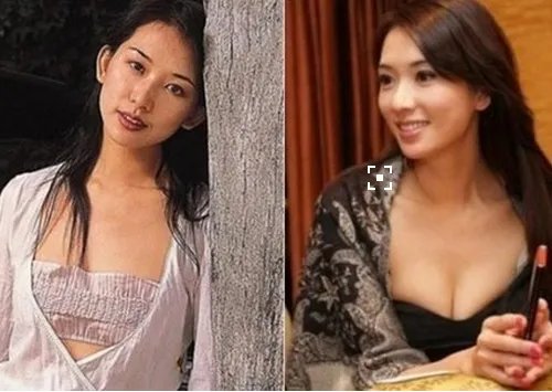明星林志玲隆过胸吗？ 揭秘女神胸器真相